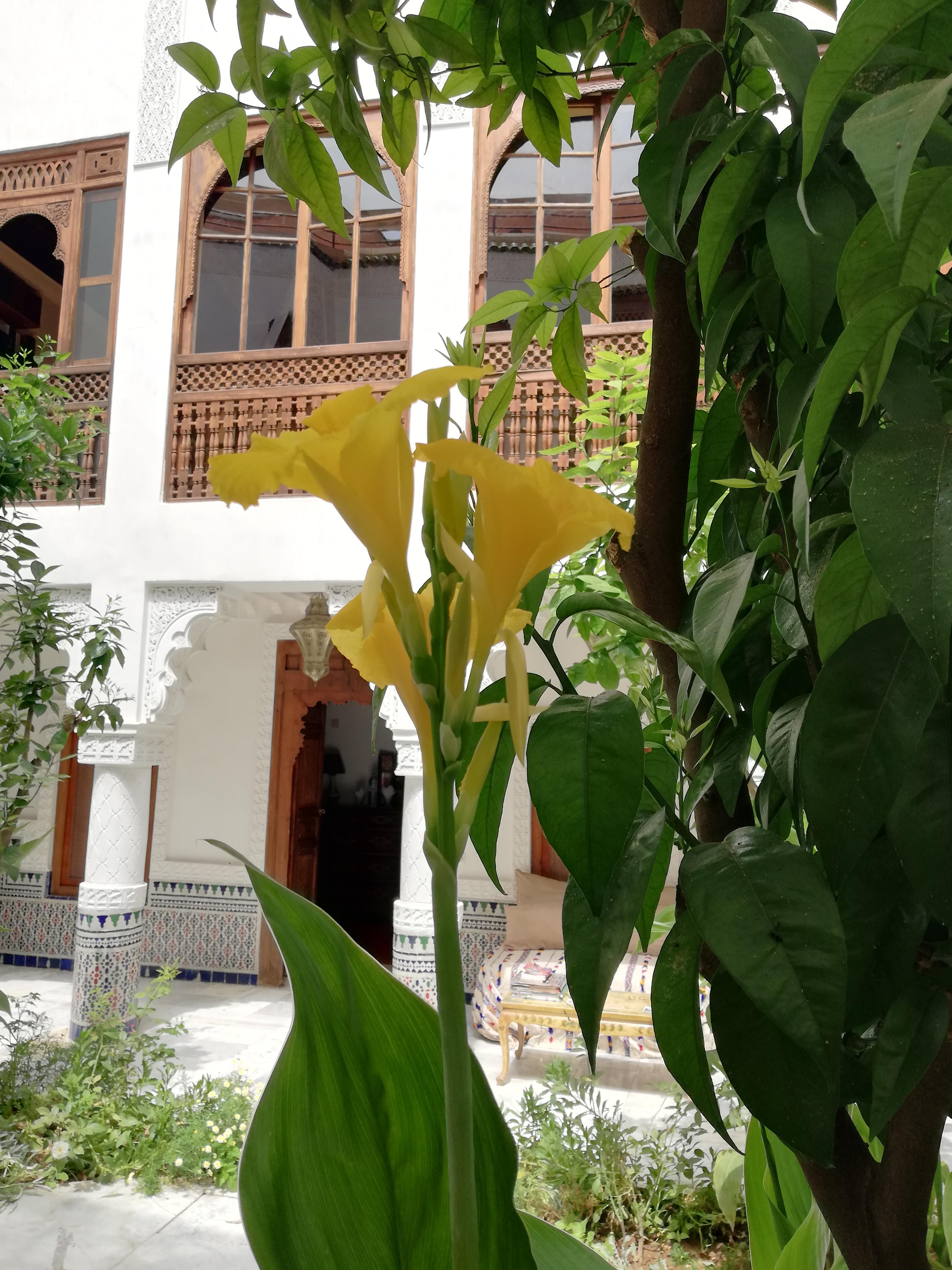 Riad Ben Youssef Marraquexe Exterior foto